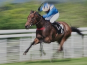 01 RIDING THE FINISH by Derek Medhurst