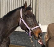 02 TENDERNESS by Derek Medhurst